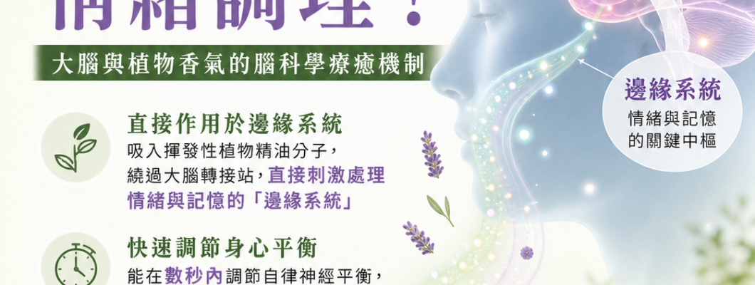 芳香療法如何幫助情緒調理?