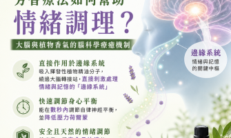 芳香療法如何幫助情緒調理?