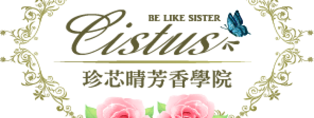 純淨極光 & 轉換力