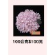 摩根石100公克 $100元