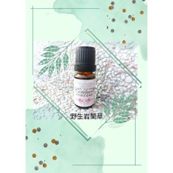 野生岩蘭草精油