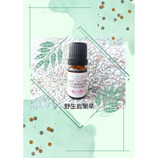 野生岩蘭草精油