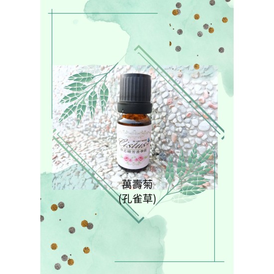 萬壽菊(孔雀草)精油