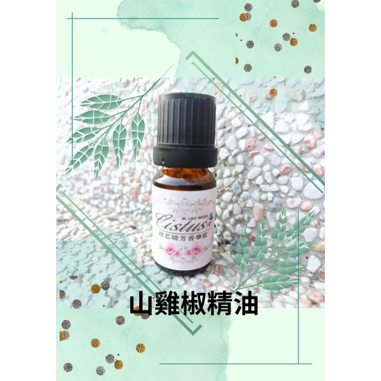 山雞椒精油