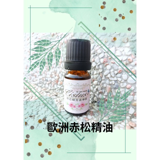 歐洲赤松精油