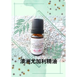 澳洲尤加利精油