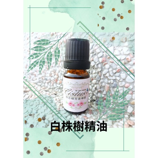 白株樹精油