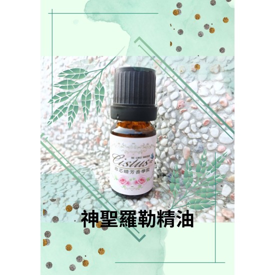 神聖蘿勒精油