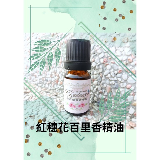 紅穗花百里香精油