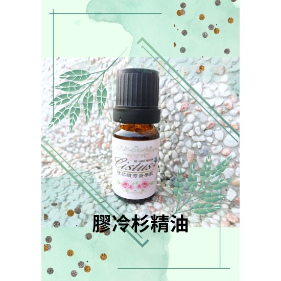膠冷杉精油