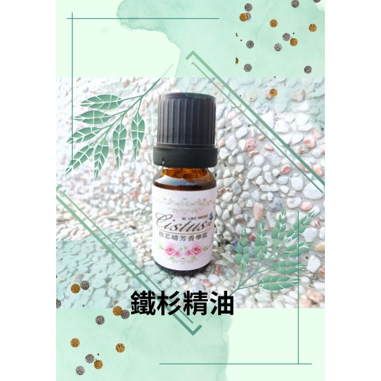鐵杉精油