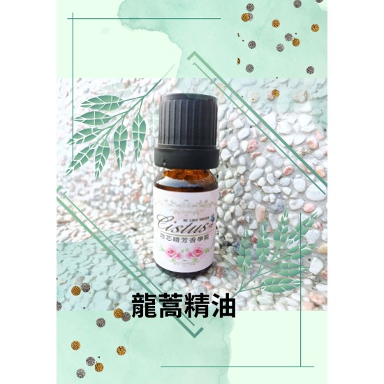 龍蒿精油