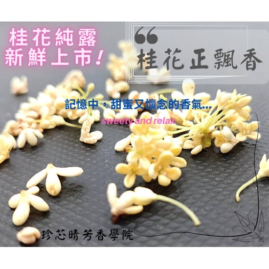 桂花純露100ml/500ml $490/$1800