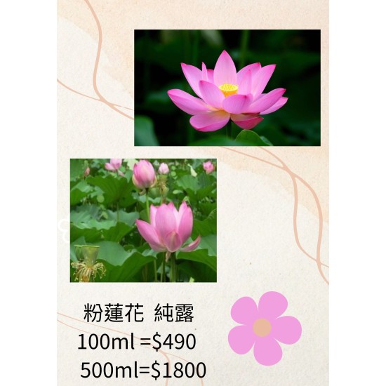 粉蓮花純露  100ml =$490   500ml=$1800