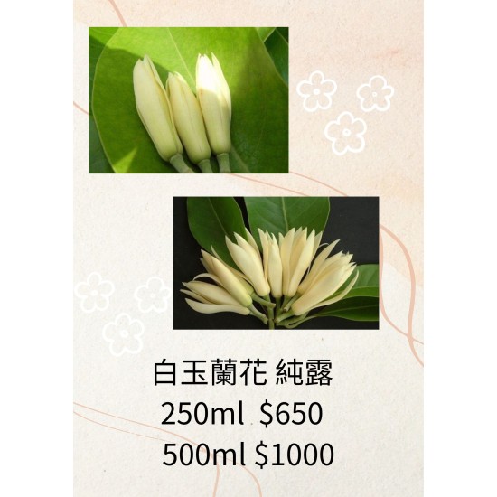 白玉蘭花純露  250ml  $650  500ml $1000