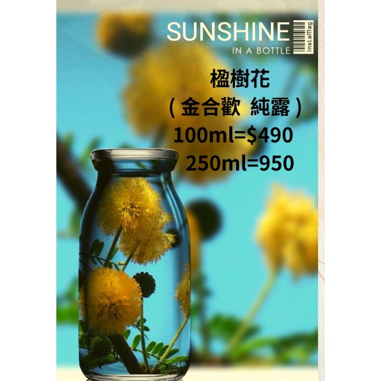 楹樹花 ( 金合歡 純露 )   100ml=$490   250ml=950