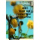 楹樹花 ( 金合歡 純露 )   100ml=$490   250ml=950