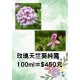 玫瑰天竺葵純露 特價 100ml=450