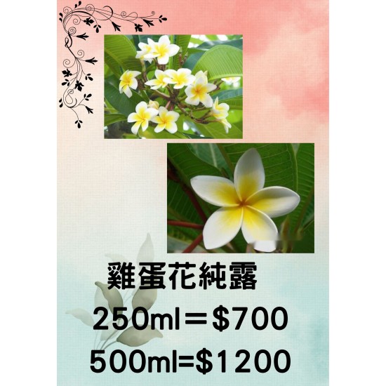 雞蛋花純露 250ml =$700 / 500ml＝$1200