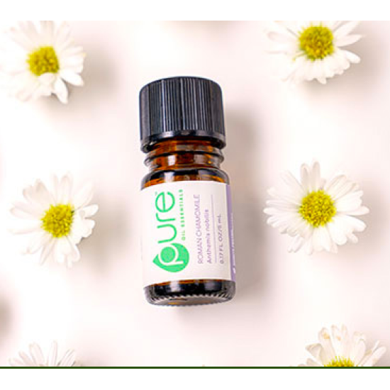美樂家純質 羅馬洋甘菊精油 5mL $950元