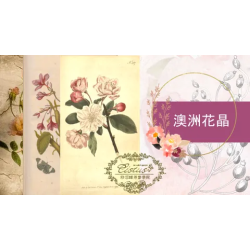 花晶修復課程