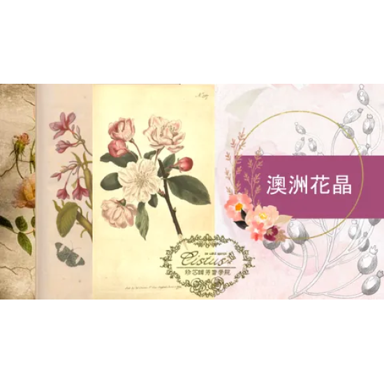 花晶修復課程